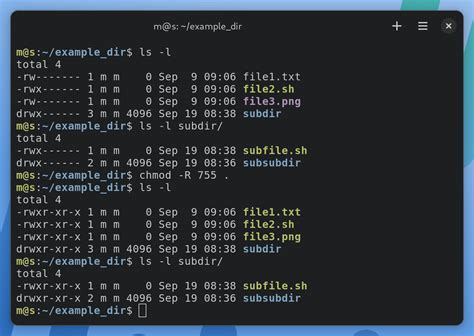 chmod 777 macos|macos .